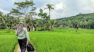 CIAMIS VILLAGE🌿 A VILLAGE FULL OF SERENITY AND PEACE