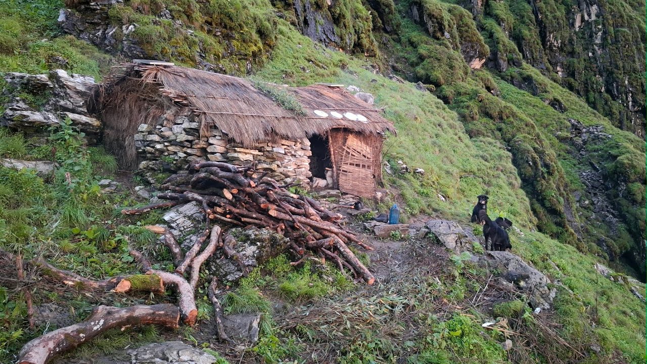 All Seasons Compilation Video Into Heavy Rainy Season | Beautiful Nature With Real Documentary Video