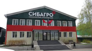 Программа &quot;Главные новости&quot; на 8 канале от 24.06.2025 Часть 1