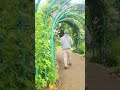 #木村ラニー MAGUR MANTAN GURU IN JAPAN #magurmantanguru #japan #viralshorts #viralvideo