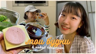 ПОЧЕМУ Я РЕШИЛА ЖИТЬ ОДНА? / МОИ ПЛАНЫ НА БУДУЩЕЕ / ПОЛ ДЭНС [КОРЕЙСКАЯ СТУДЕНТКА ЧЕРИШ]