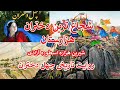 شیرین هزاره روایت از تاریخ سازی دختران هزاره چهل دختران
