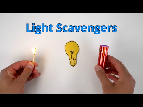 Light Scavengers