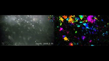 Computer video processing Backflow