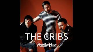 The Cribs talk 'Selling a Vibe', brotherly love & more