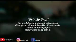 Story Wa Dj Koyo Langit Ambi Bumi