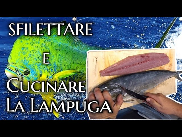 Tutorial: Pulire e sfilettare il pesce piccolo - Cuoca Per Passione