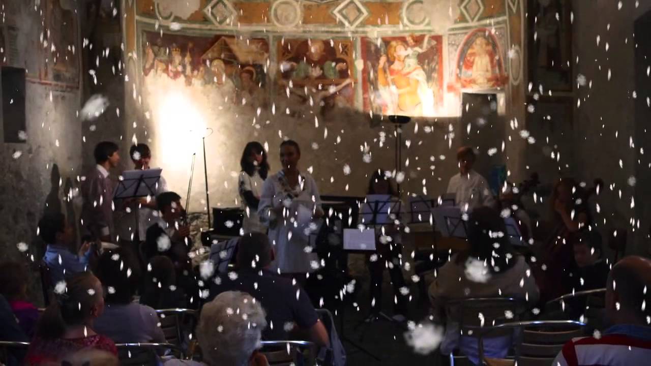 LeAltreNote Xmas Video Card