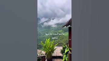 تلاوة خاشعة بصوت الشيخ ياسر الدوسري #قران_كريم #القران #اكسبلور #القاريء