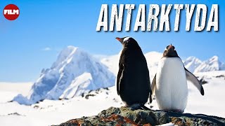 Antarktyda | Film Dokumentalny | IMAX | Lektor PL | HD | Całość | Za darmo | Film przyrodniczy