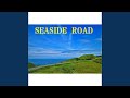 SEASIDE ROAD
