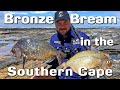 Fishing for bronze bream in the southern cape   how to catch clean cook