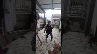 cover dance BTS oleh anak kecil #BTS #coverdancebts