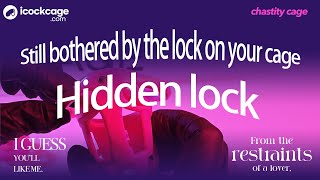Hidden Danger: The All-New Concealed Lock