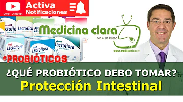 ¿Cuál es el mejor probiótico recomendado por los gastroenterólogos?