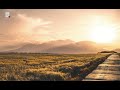 Postman: Как работать c/тестировать API в - обзор