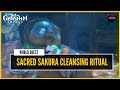 Genshin Impact - Complete The Sacred Sakura Cleansing Ritual | All locations &amp; Puzzle [World Quest]