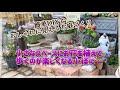【ガーデニング】【簡単DIY】モルタルなしで簡単にレンガ敷き✨壊した花壇周辺をおしゃれに変身させる！可愛いお花の植え付けと、おしゃれなお花で寄せ植えづくり🌸