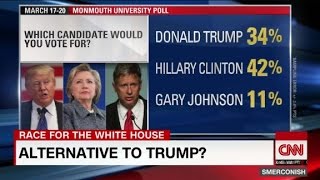 Gary Johnson: GOP Trump Alternative?