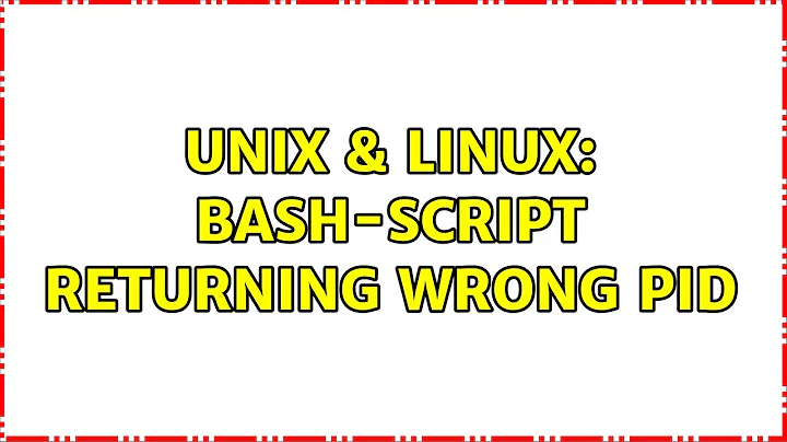 Unix & Linux: Bash-Script returning wrong PID