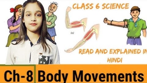 Class 6 | Science | NCERT chapter 8 | Body Movements | PART 2