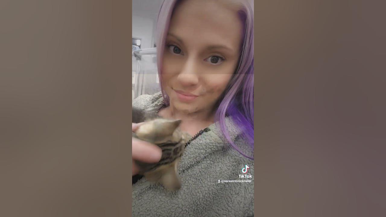 cat-shelter-life-youtube