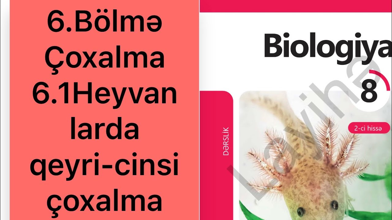 Biologiya 8 ci sinif  6.bolmə 6.1heyvanlarda qyri cinsi çoxalma 