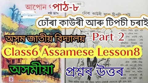 ঢোঁৰা কাউৰী আৰু টিপচী চৰাই/Class6 Lesson8 Assamese |Assam Jatiya Bidyalaya Questions Answered