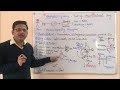 Pharmacokinetic (Part 01)-  Absorption and Factors Affecting Absorption of Drugs (HINDI)