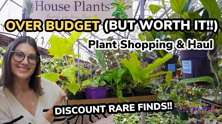 OVER BUDGET...But Worth It! - Big Bloomers Nursery...
