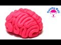 Play-Doh Brain!