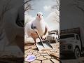 🕊️Kabutar Ki Sad Kahani | Ai Shorts Video | #ai #kabutar #pigeon #shorts #viral #trending #ytshorts