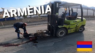 IRAN to ARMENIA - Norduz border crossing (dog run over by forklift)