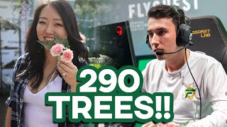 How FlyQuest is SAVING THE TREES In 2020 | FLYVLOGS