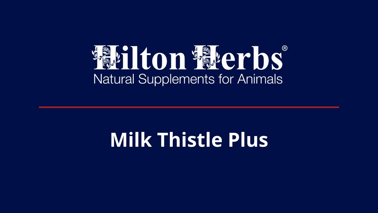 Hilton Herbs US Milk Thistle Plus & Milk Thistle Plus Gold YouTube