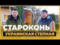 Староконь – 300 семей, украинская степная, островной облетник [УКР]