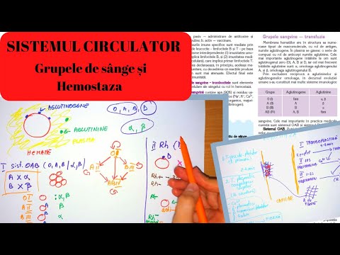 ADMITERE MEDICINA: SISTEMUL CIRCULATOR 2: SANGELE - Grupele de sange si hemostaza