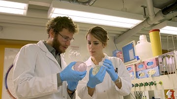 Spark Award 2018 - Treatment of intestinal diseases with consortia of living bacteria