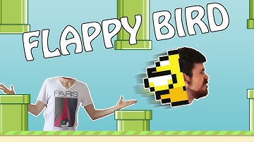 Flappy Bird INSANE Score!