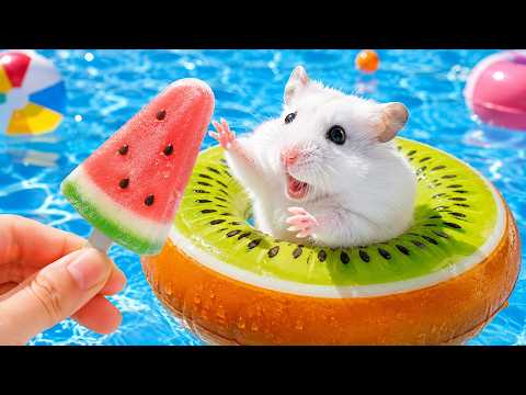 Hamster Escapes from Mini Pool Maze | Hamster Maze