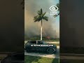🚨 МАСШТАБНЫЙ ПОЖАР ВО ФЛОРИДЕ! ТЫСЯЧИ ГЕКТАРОВ В ОГНЕ!