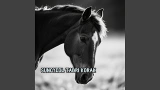 Forelock On Horse