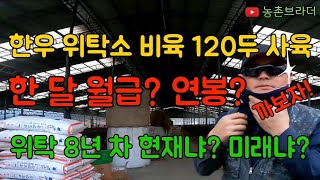 축산업 최초 수입 공개! 위탁소 한우 비육 120두 한 달 월급? 1년 연봉? 위탁소에 몰랐던 사실~ 돈이 돈을 번다라는..