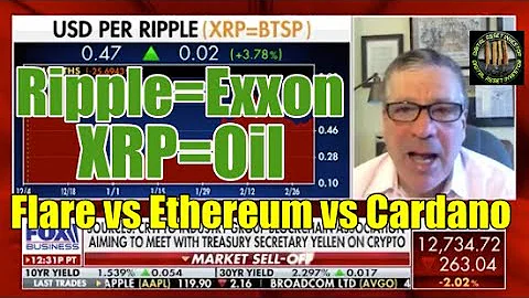 New Ripple Filing: SEC $15 Billion Damages To XRP Holders & XRP = Oil/Diamonds