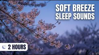 Soft Breeze & Wind Sounds for Sleeping | 2 Hours Relaxing Nature Ambience 🌬️✨