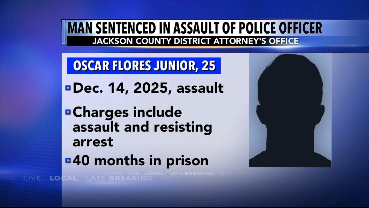 Man sentenced in assault of police officer