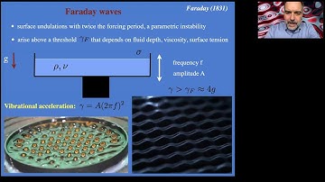 Fluid Mechanics Webinar Series: Bush