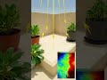 لون البلاط على السطح يطبخ جذور نباتاتك! 🎨🔥 كيف تختار ألوان تقلّل حرارة الأصص؟ #shorts #gardening