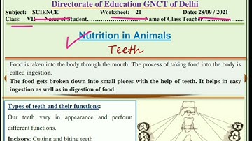 Class 7 Science Worksheet 21 English Medium@SmartlearningScience