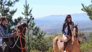 Grado Sur Expediciones. Paseos a caballos por el Valle de Colchagua. 2015.